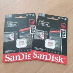 SanDisk Extreme microSD 256GB 2枚セット