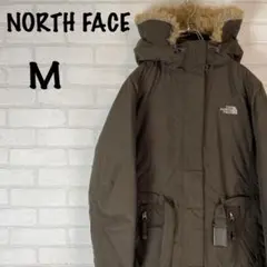 NORTHFACE ザノースフェイス 肉厚 刺繍 グースダウンジャケット