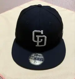 Item thumbnail for item 9d40214e-b793-4e70-90a7-a3592d4fd986