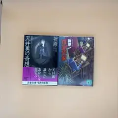 折原一 まとめ売り 『天上男の奇想』＋『覆面作家』 ミステリー小説 文庫本