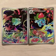 フシギダネ フシギソウ ar
