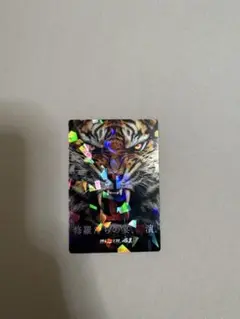 2023 RIZIN 41 ホログラムカード　ウエハース