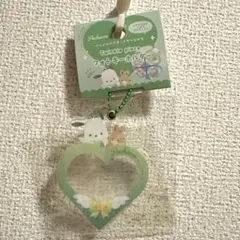 サンリオ　ポチャッコ　フォトキーホルダー