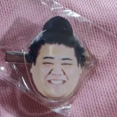 【嘉陽】フェイス ヘアピン 大相撲 ガチャ