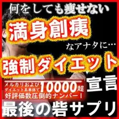実績No.1✨秋本番セール✳早稲田総合研究所ダイエットサプリ ワンズアップ等にも