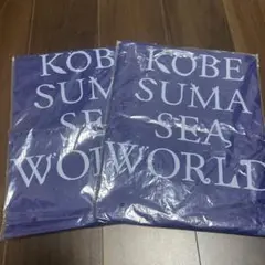 Item thumbnail for item e5629133-d2df-4d70-92d0-7cc8296918bd