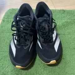 adidas sl2