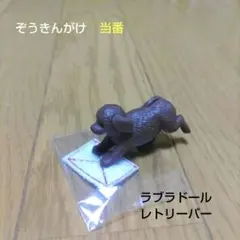 ぞうきんがけ当番。おーるふぉーワン！。ゴールデンレトリーバー
