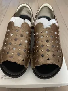 ドルチェ　　24㌢