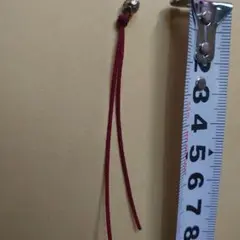 ヤージ　yajiピアス　ダブル赤