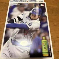 ロサンゼルス・ドジャース クリアファイル