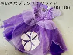 ちいさなプリンセス ソフィア ドレス 90-100