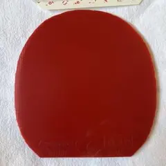 ディグニクス09c 赤特厚