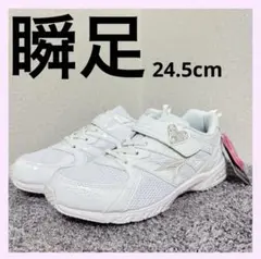 【新品タグ付き】瞬足　24.5cm ホワイトスニーカー　ハイスタンダード