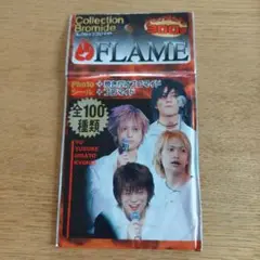 FLAME（フレイム） コレクション ブロマイド