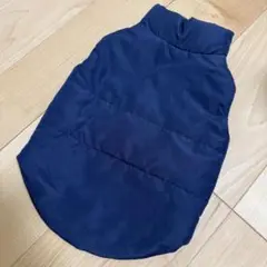 Item thumbnail for item 22d81e10-d579-4999-84f1-828c2d9177f0