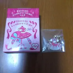 プリキュアコスチュームチャーム　Vol.1　キュアワンダフル