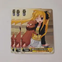 ヴァイスシュヴァルツ 戯れるフェイト＆アルフ