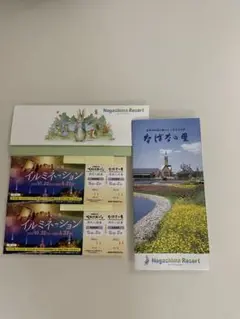 なばなの里 入村券+ベゴニアガーデン 入場券 2枚組 イルミネーション