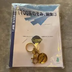 700系 のぞみ　誕生記念　キーホルダー　ピンバッジ　セット