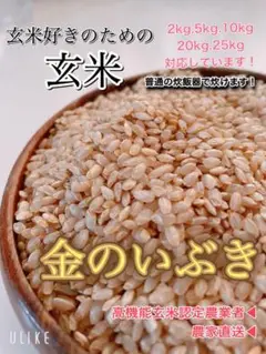 新米できたて⭐︎【農家直送】金のいぶき 2kg 玄米 玄米食 米 お米 特A米農家