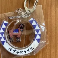 JRA 競馬場　welcomeチャンス E賞　ペプチドナイルアクリルキーホルダー