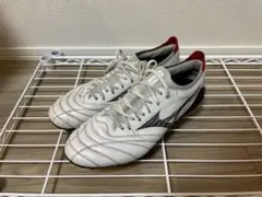 Item thumbnail for item ab1e753e-c581-419e-90e2-4c43d8eff3fa