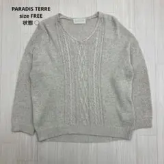 ● PARADIS TERRE パラディテール Vネック ニット セーター F