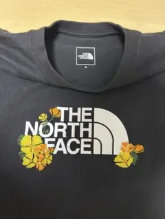 THE NORTH FACE ブラック Tシャツ M