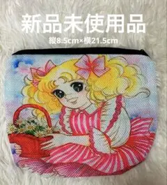 キャンディキャンディ⭐︎ポーチ＆イラスト1枚付き♡