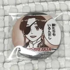 ウィンドブレーカー 蘇枋 缶バッジ