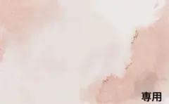 専用
