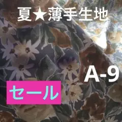 薄手生地　布　夏素材　生地　ジョーゼット　ポリエステル　A-9
