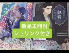 義家族に執着されています 2 優しいあなたを守る方法 3 新品未開封シュリンク付