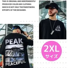 【人気】Tシャツ　2XL　黒　韓国　ヒップホップ　マウンテン　大きめ　体型カバー