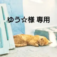 専用商品