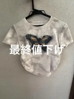 SPRAY PREMIUM バタフライ刺繍 チビT y2k