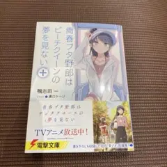 青春ブタ野郎はビーチクイーンの夢を見ない+