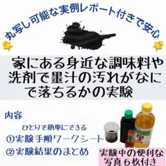 2025年度　新作　墨汁で実験　自由研究　丸写し可能　実験写真６枚付き　数量限定
