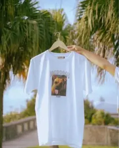 BIGKNOT BIGDOOGS Tシャツ ホワイト big knot