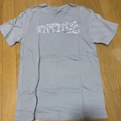 patagonia コットン Tシャツ XS