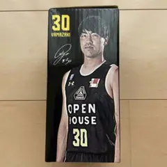 山崎 稜　20枚限定　直筆サイン入りカード 2025年最新】30山崎稜選手の人気アイテム - メルカリ