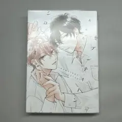 新書館 セブンティーンシロップス