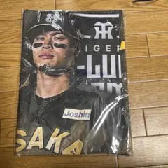佐藤輝明タオル