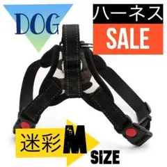 Item thumbnail for item d3c1fe81-b54e-4b95-a8e2-dde79a77b2ad