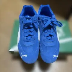 Item thumbnail for item ae08c812-100a-49eb-bf3a-84eb1bad20b0