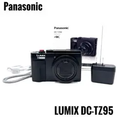値下げ交渉歓迎 Panasonic TX2 パナソニック DC-TX2 動作OK