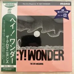 ザ クロマニヨンズ　HEY!WONDER