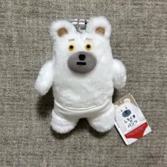 【新品】しろくまのパンツ　マスコットキーホルダー
