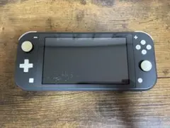 [ジャンク品]Switch lite 本体のみ 起動不可